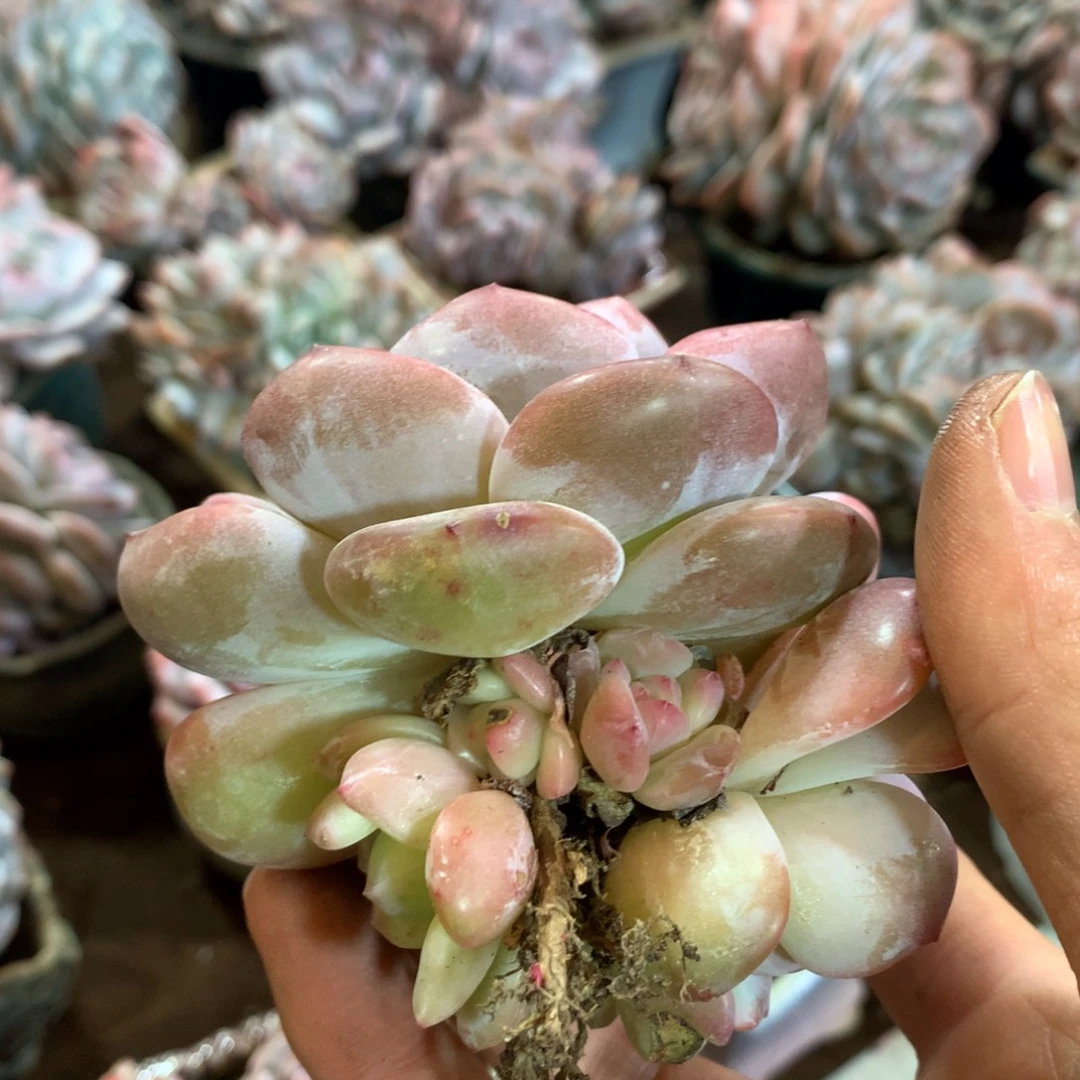 哈哈哈哈哈哈哈哈哈哈