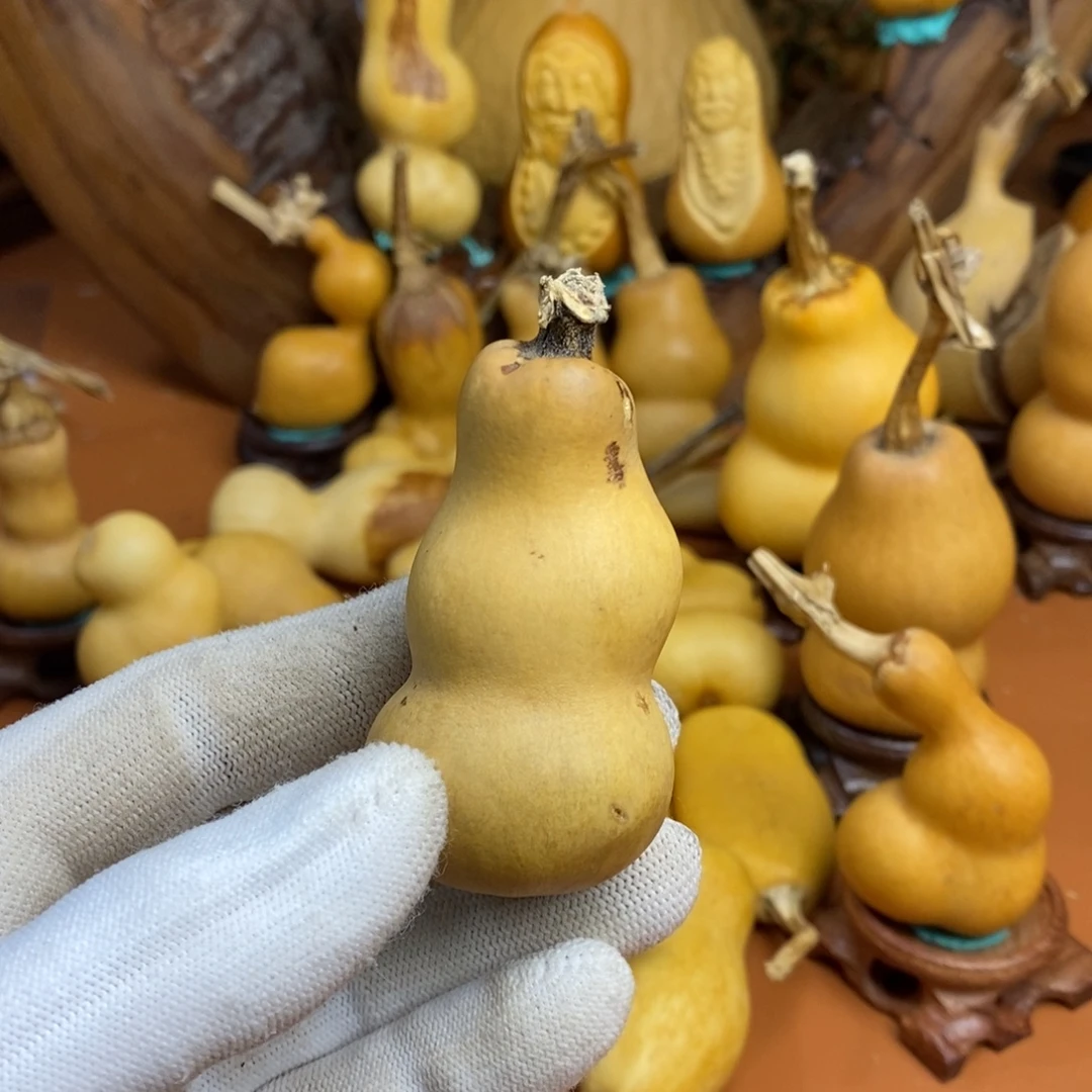 瑞***禄啦啦教练咯教练咯教练咯