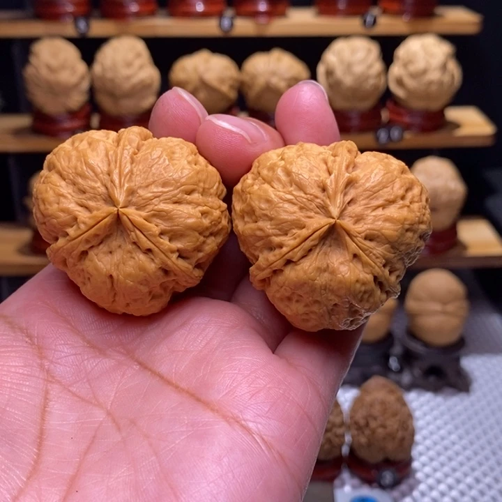 木质类云铁凹江龙89号