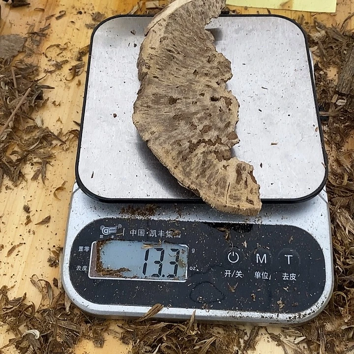 沉香沉香碎屑香港野生沉香板头13.3克