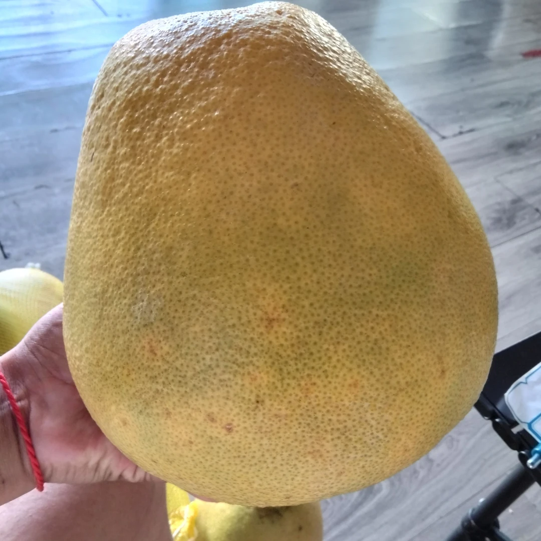 水晶油爆甜新鲜应季酸甜多汁皮薄肉厚现摘当季新鲜