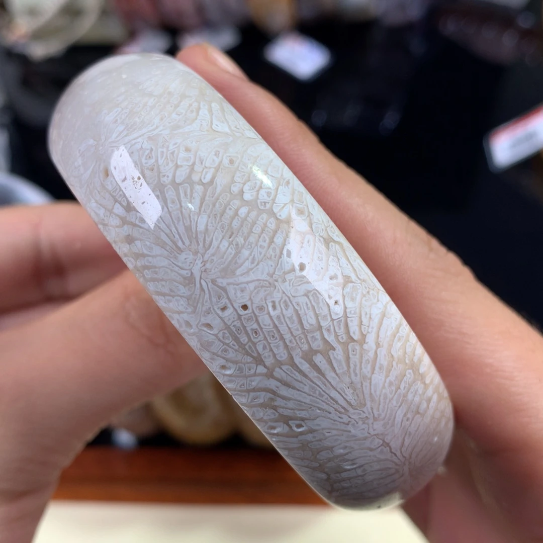 硅化珊瑚（珊瑚玉）未镶嵌吊坠(赠链)23号白龙骨60圈