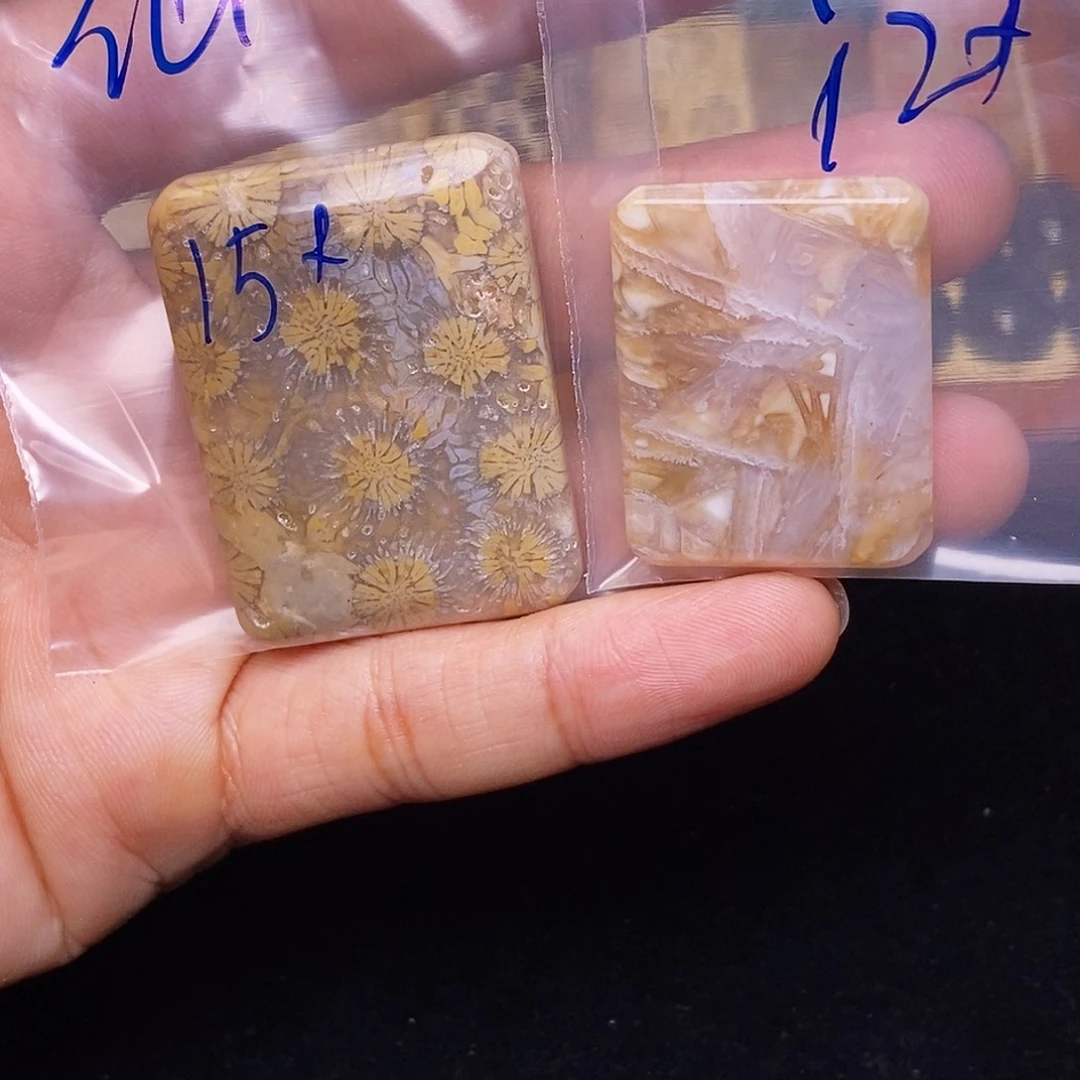 仙***李硅化玉合金珊瑚玉