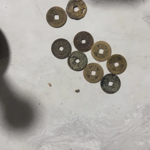 核桃木/黑胡桃（胡桃木）人**美