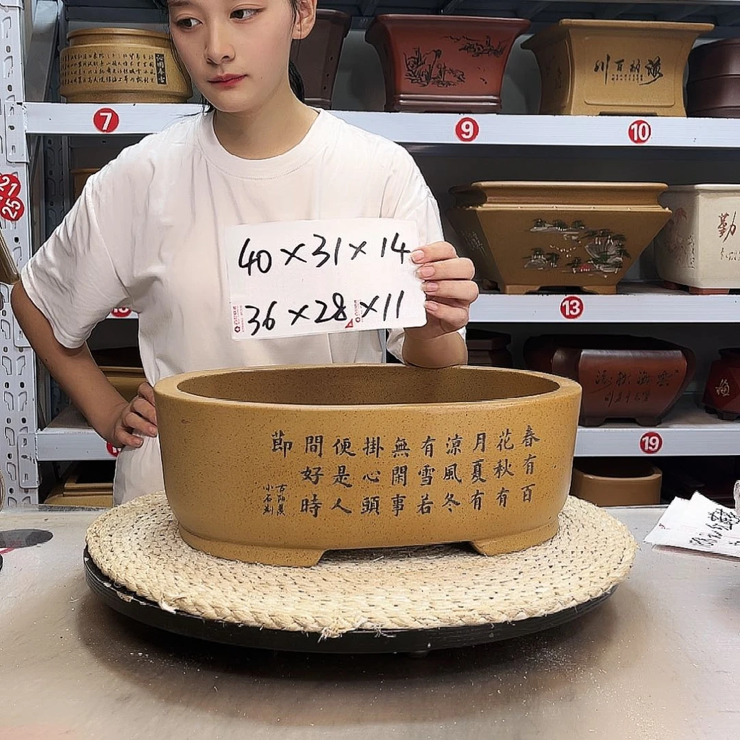 紫砂花盆紫砂花盆
