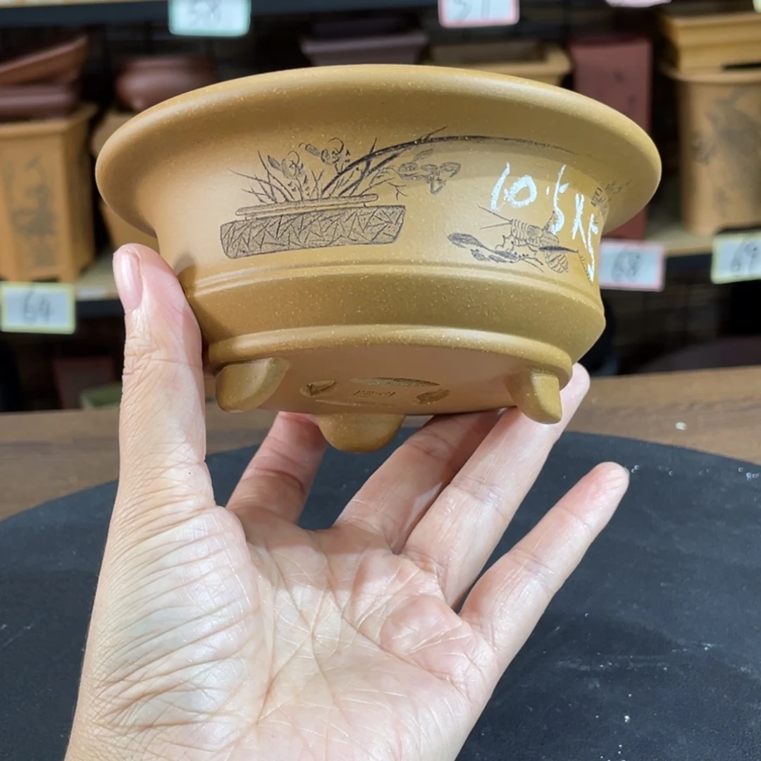 花盆紫砂紫砂和白