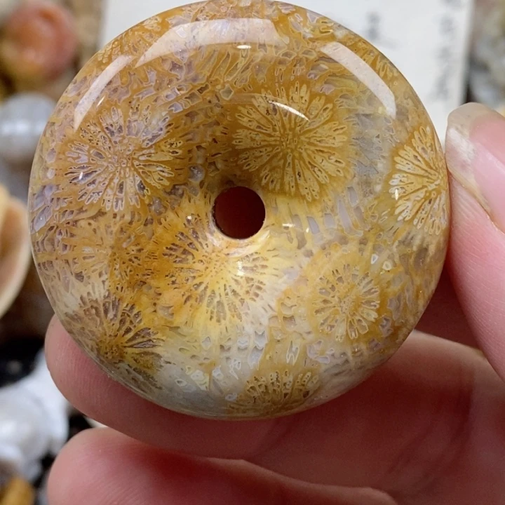 颈饰未镶嵌硅化珊瑚（珊瑚玉）
