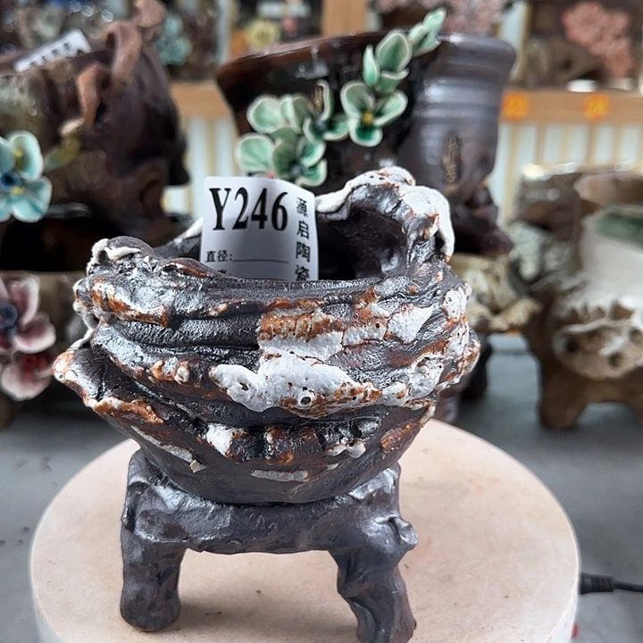 紫砂花盆景德镇陶瓷多肉246