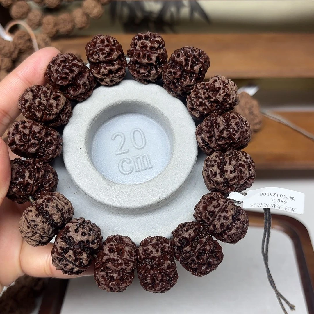 吊坠金刚菩提原生态大金刚菩提树籽