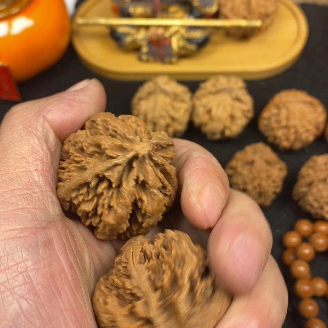 吉**照秦岭南侧与黄河北岸之间