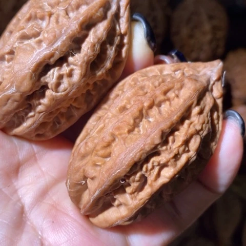 把件文玩核桃东北野生楸子小美37