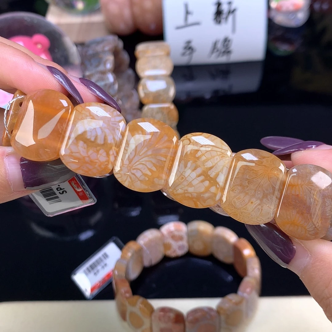 【闪购商品】颈饰未镶嵌硅化珊瑚（珊瑚玉）上新手牌龙骨+凤尾（12号）