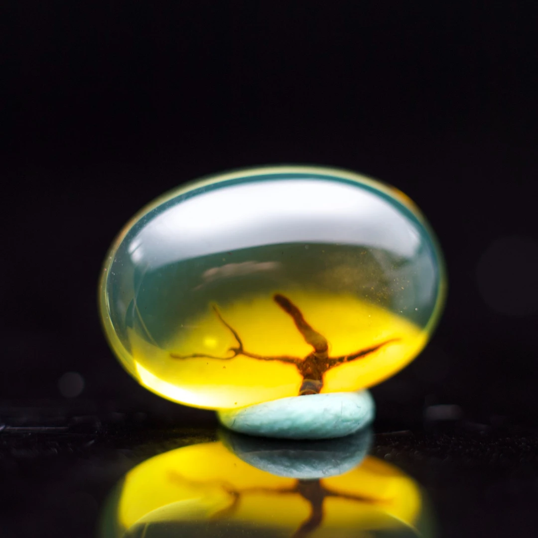 缅甸琥珀特色植物蜜蜡意境戒面可镶嵌戒指无优化原矿珠宝包邮