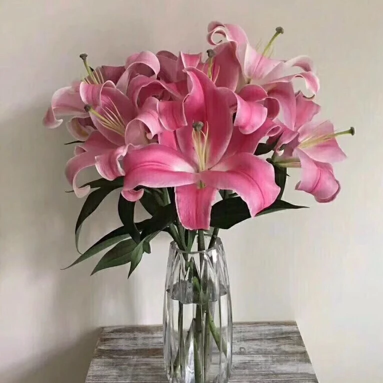 罗宾香水百合鲜花水养花家用插花 10支装