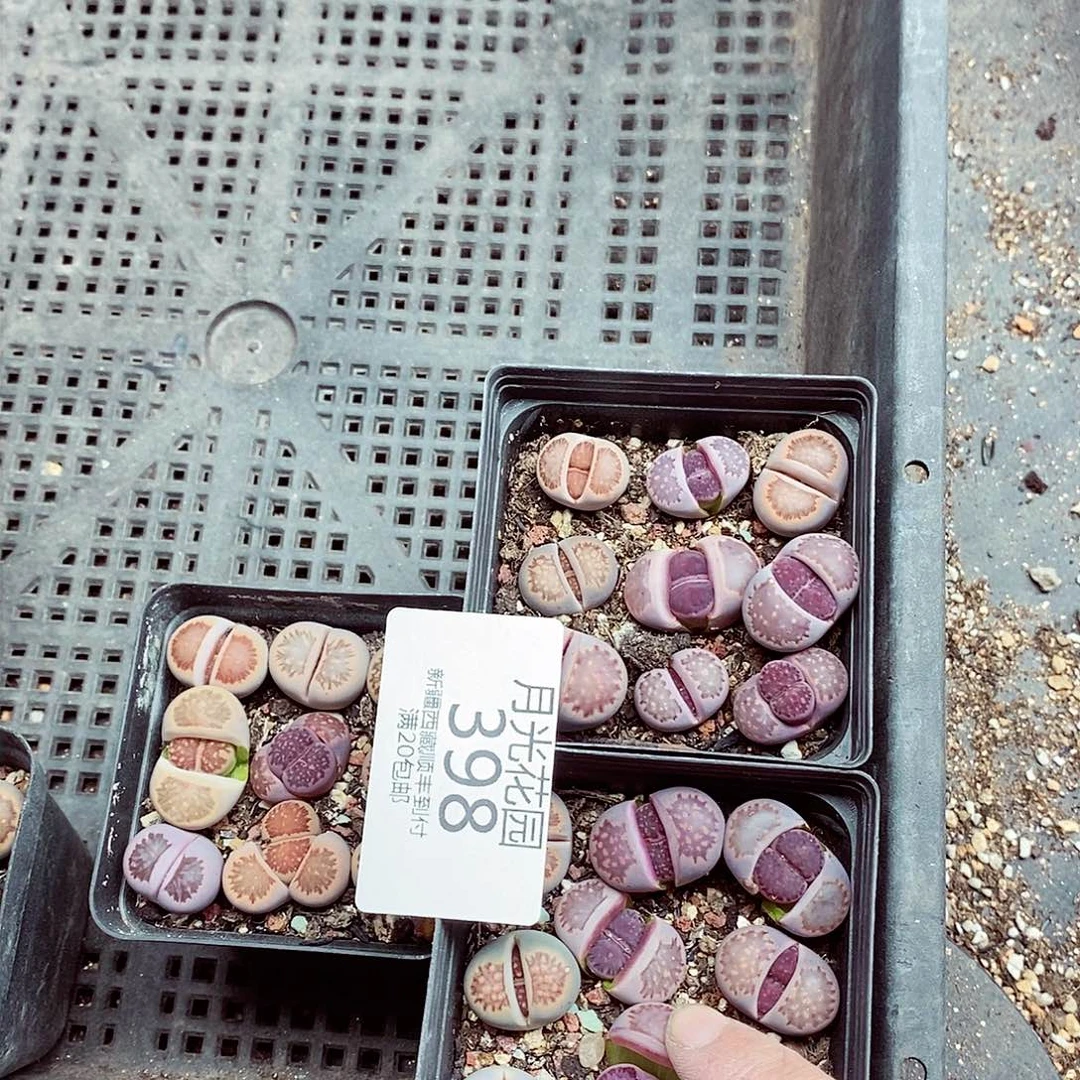 我们还不一定在一楼哦398