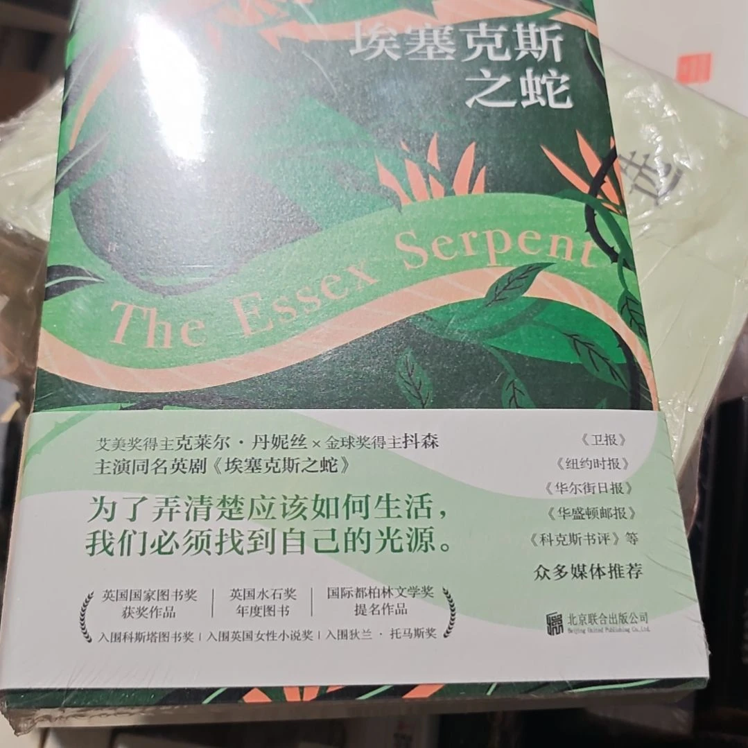 埃塞克斯之蛇平装塑封库存书