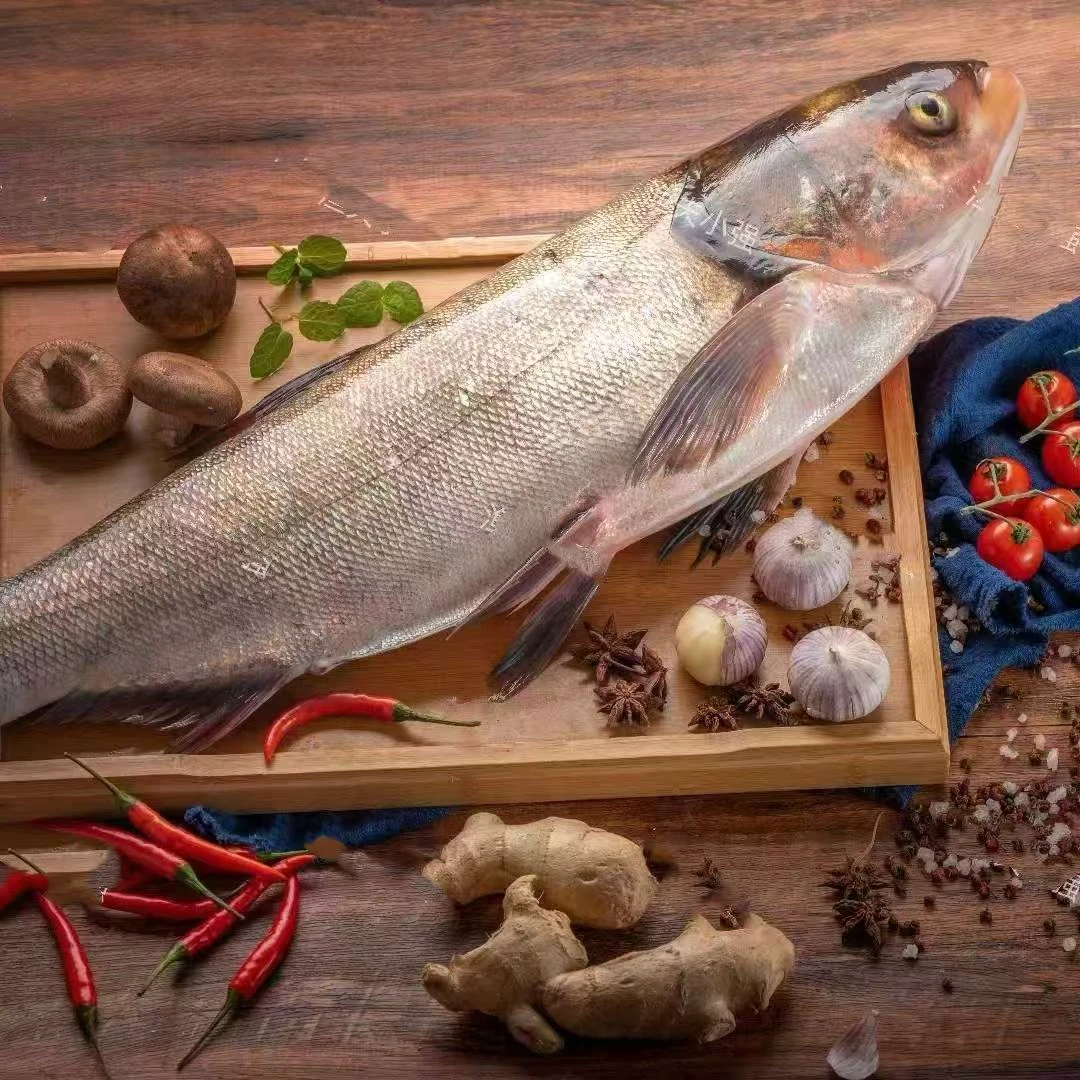 密云水库白鲢鱼 肉嫩