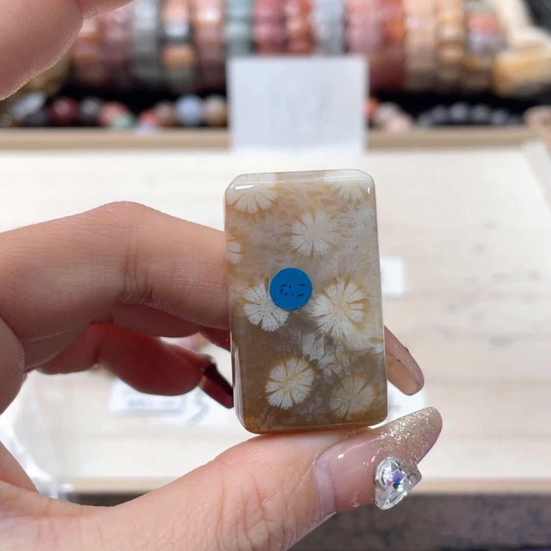 硅化珊瑚（珊瑚玉）手链未镶嵌花772