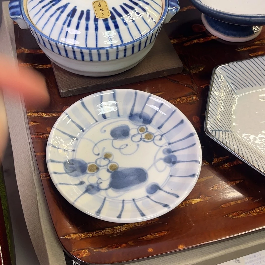 瓷片手绘青花盘啊