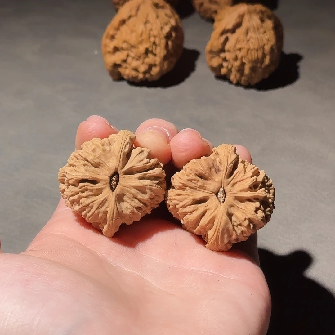 大叶紫檀（黑酸枝木类）