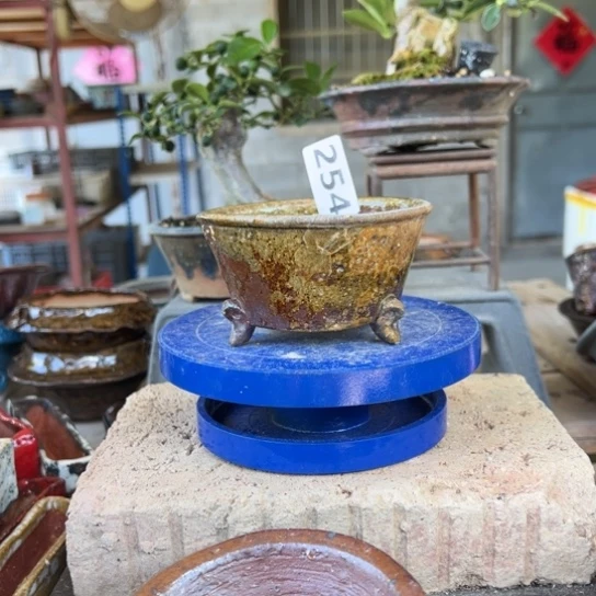 254/////////////////////