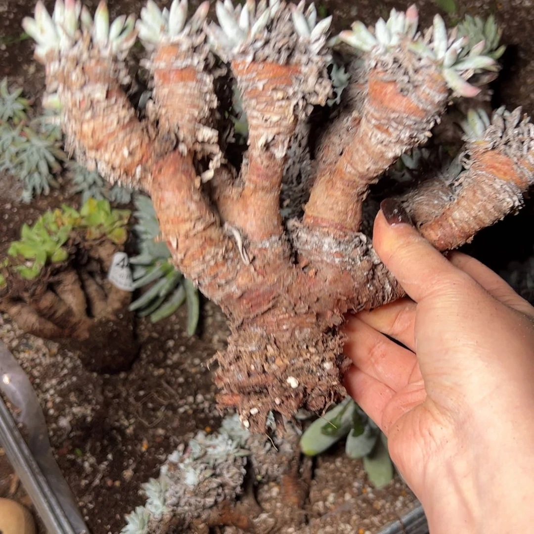 4472哈哈哈哈哈哈哈哈