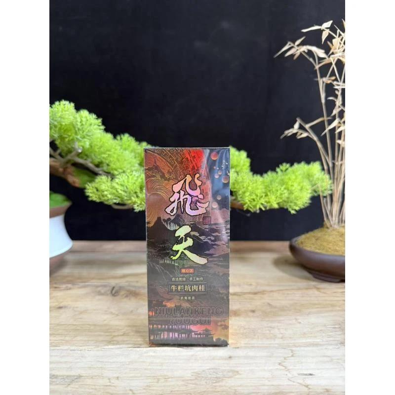 茶叶 岩漫漫-飞天-品鉴 2泡