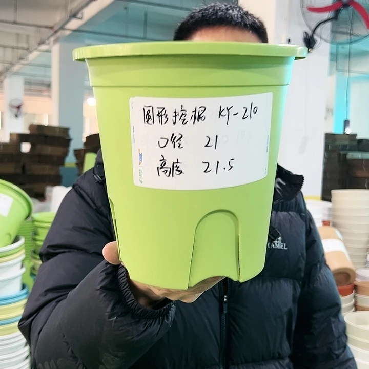 正品圆控口21高21果绿无托5只