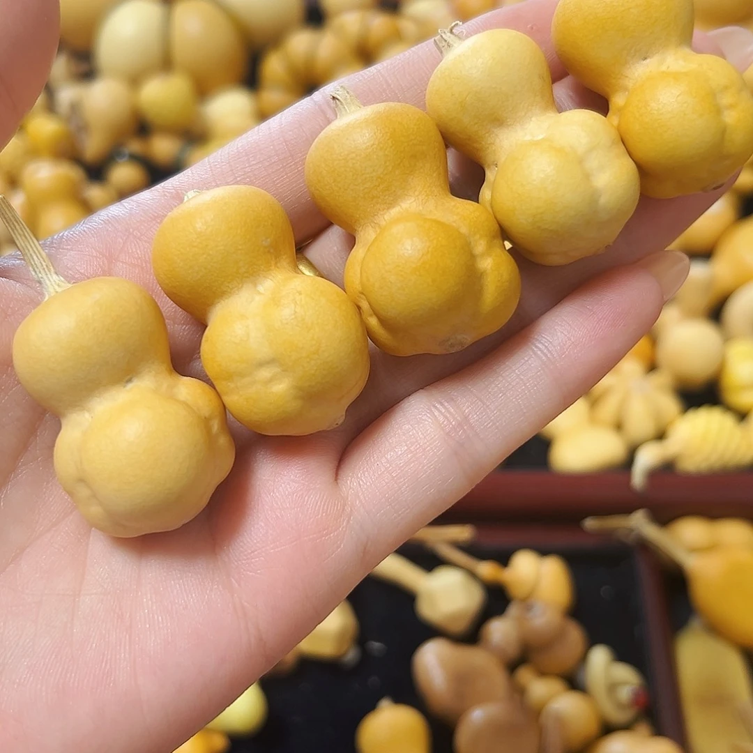 小**?葫芦葫芦葫芦葫芦