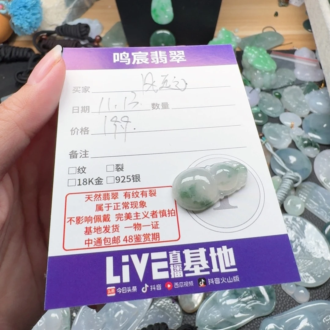 风***晨翡翠未镶嵌颈饰翡翠