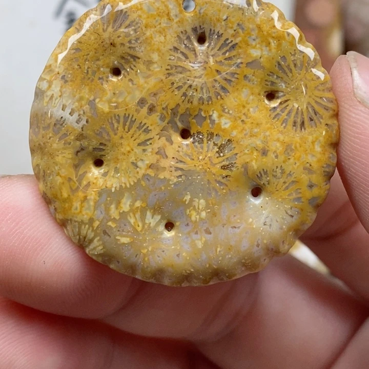 颈饰未镶嵌硅化珊瑚（珊瑚玉）