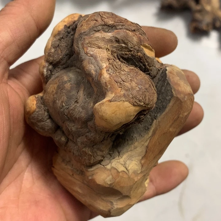 碧***月无花朵今天晚上在学校吃饭