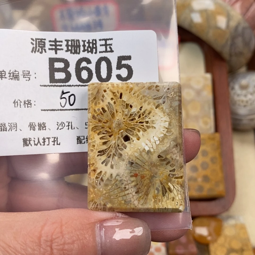 硅化玉颈饰未镶嵌三**5