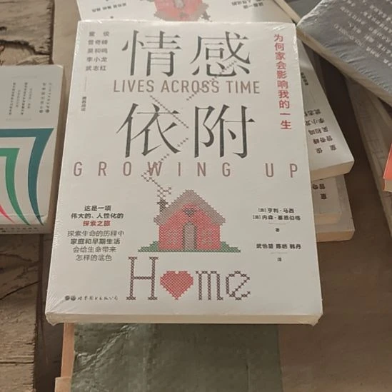 情感依附平装库存书全新