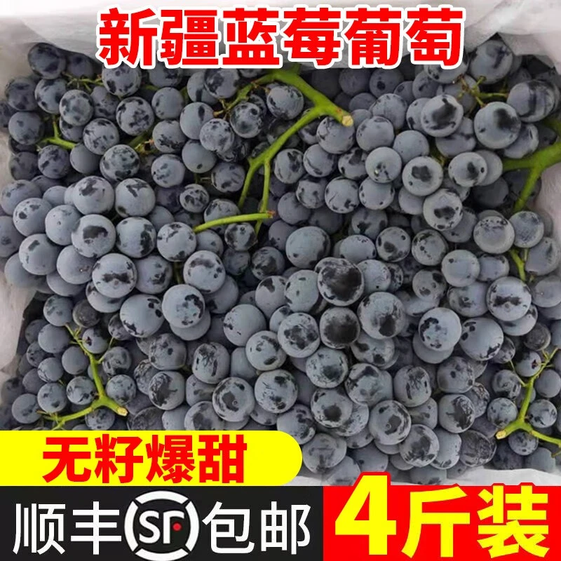 新疆篮莓葡萄新鲜无籽酸甜口甜脆孕妇水果4斤吐鲁番应季现摘水果