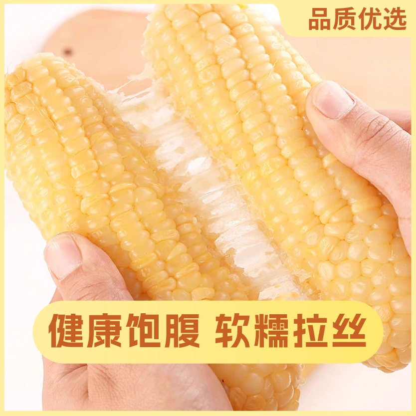 【试吃5根】300-350g大棒东北白糯玉米 香甜软糯10支净重6.5-7斤