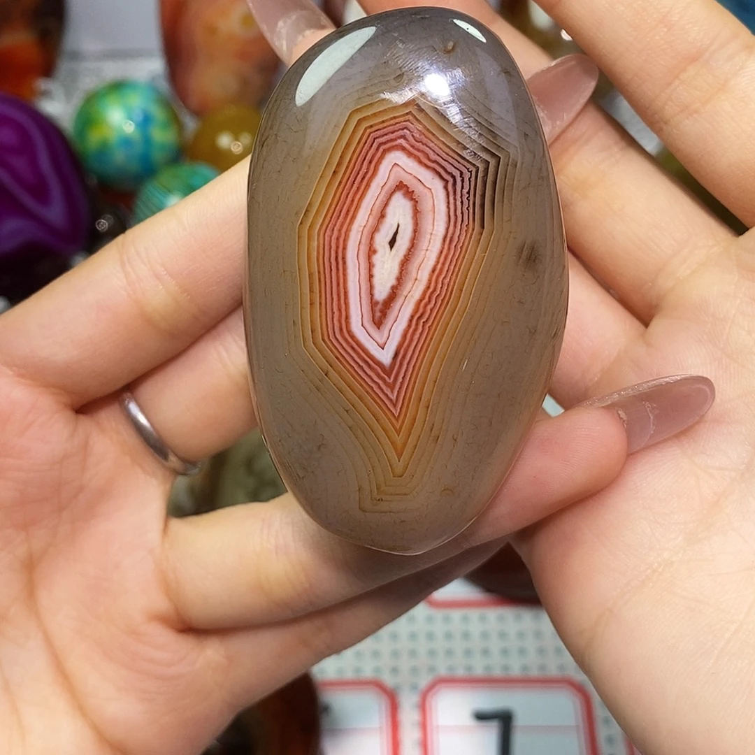 神***贝未镶嵌玛瑙/玉髓珠宝奇石