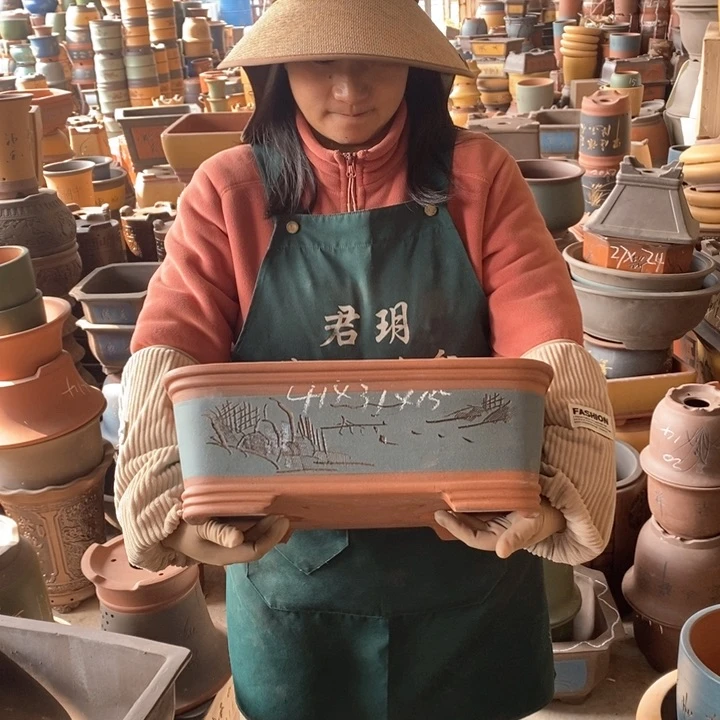 紫砂花盆盆栽花卉苗木种植
