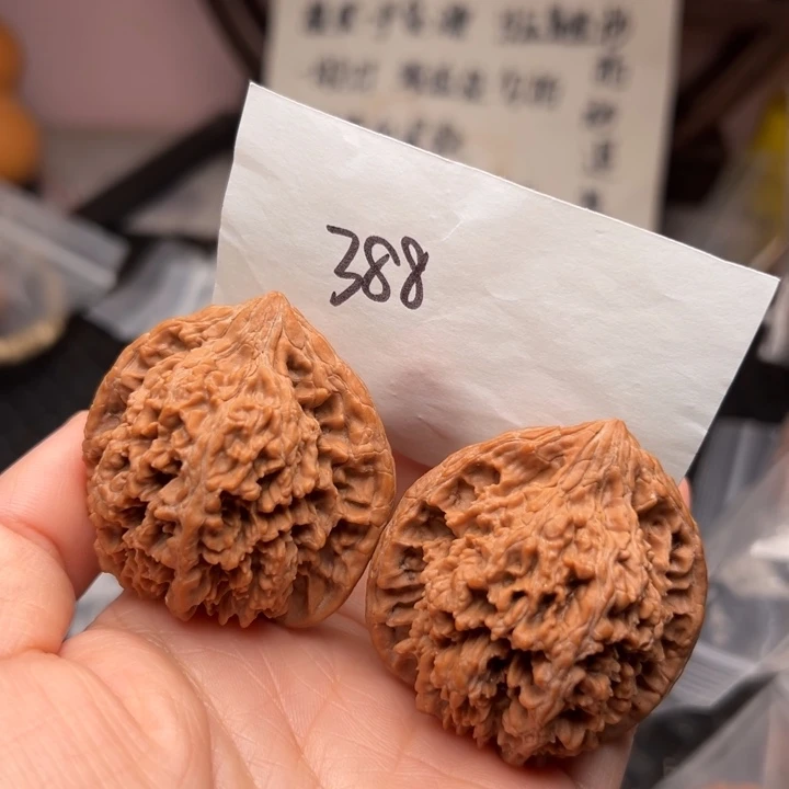 核桃45尺寸满天星