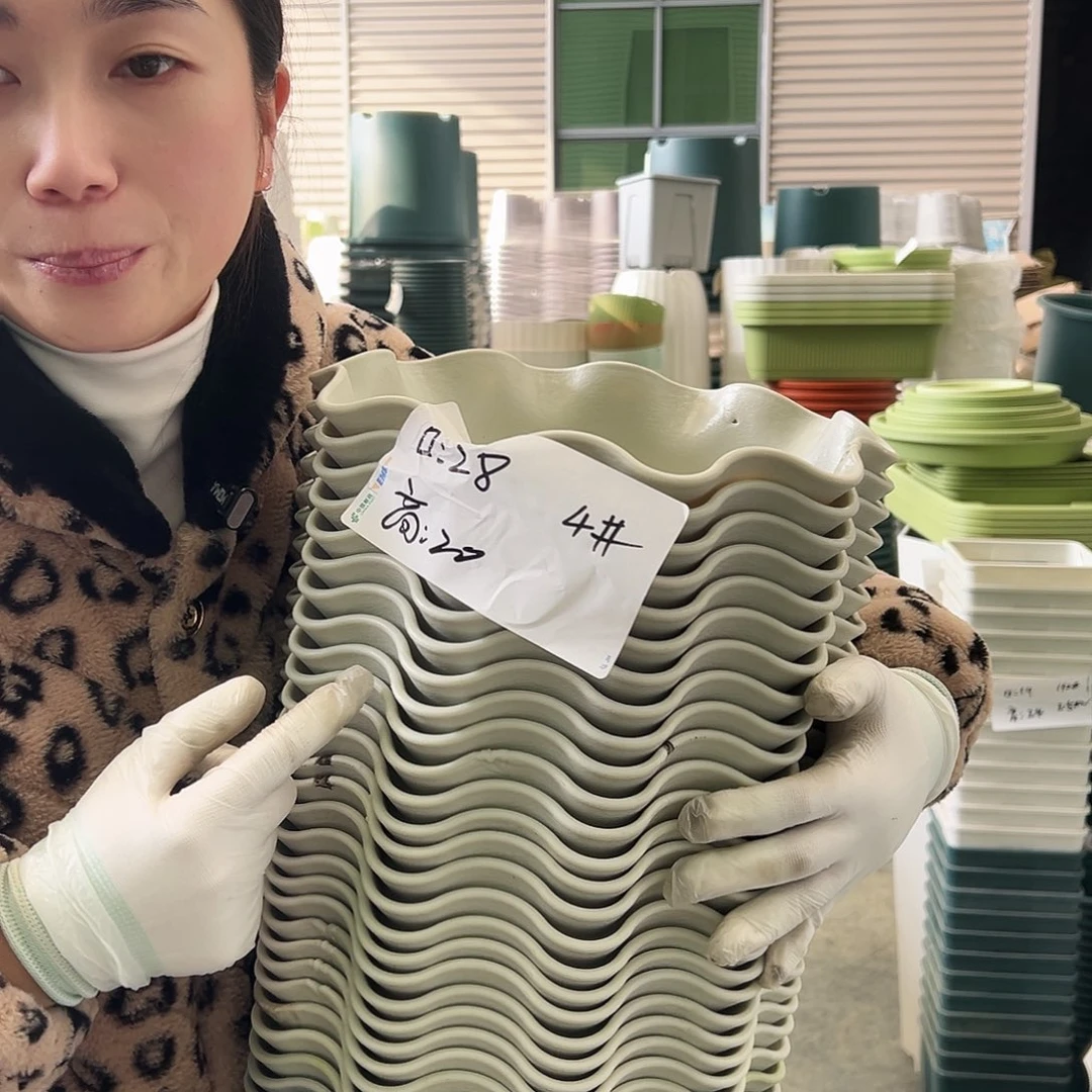 瑕疵荷叶盆4#米白6个无托