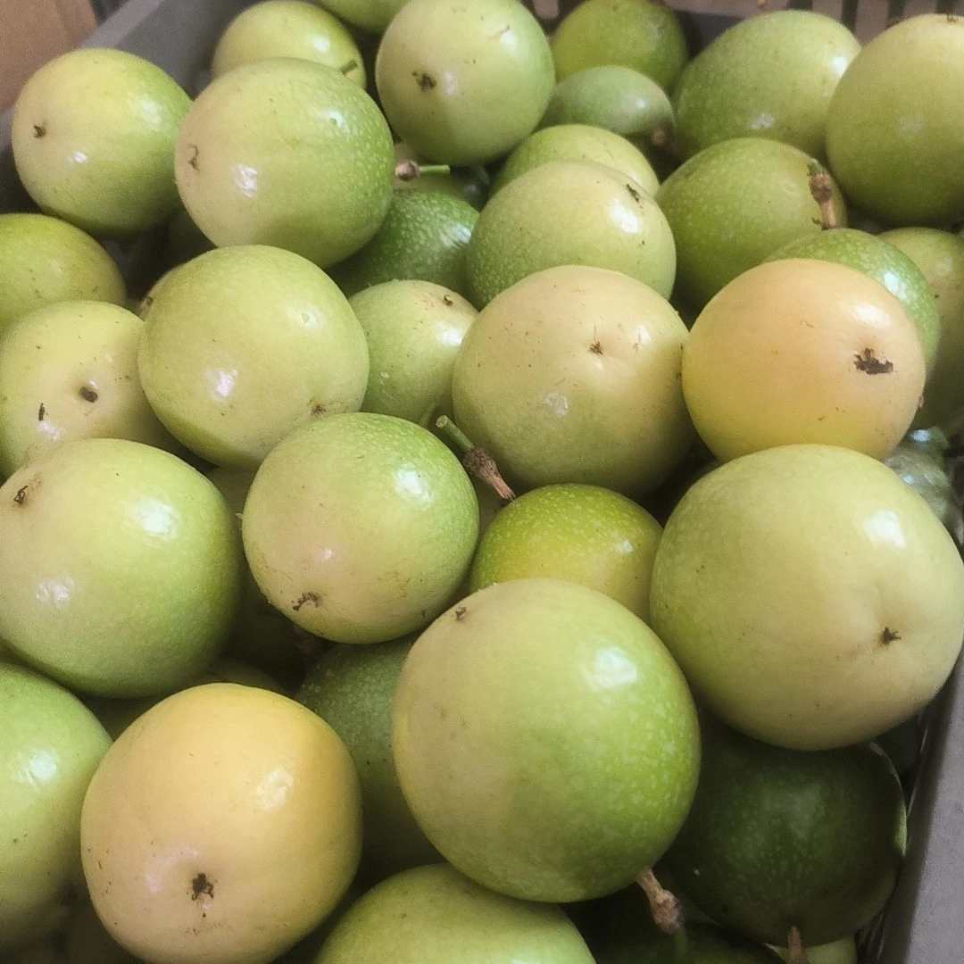 广西钦蜜九号百香果现摘现发香甜多汁富含维生素