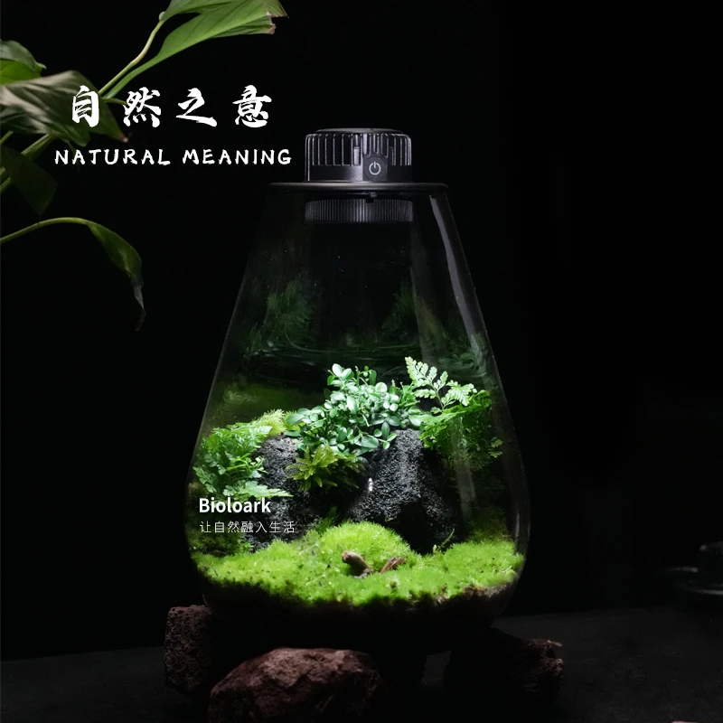 「直播间专享」[自然之意]桌面微景观水滴瓶桌面摆件DIY