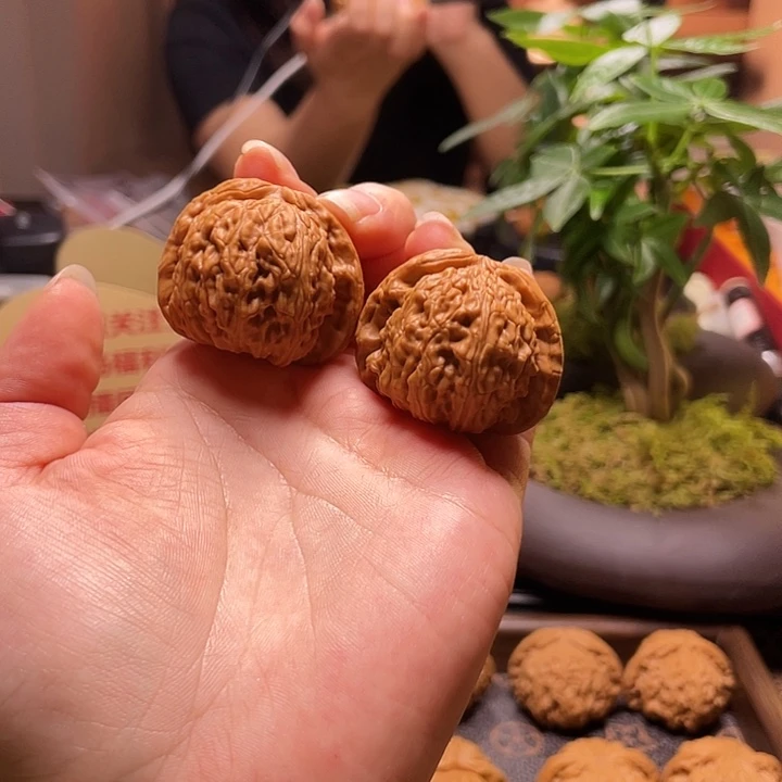 文玩核桃把件白狮子闪13