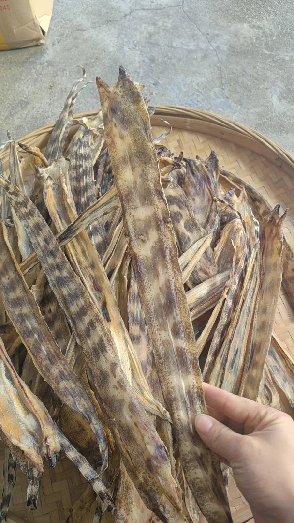 （钱麻脯）本港新鲜晒干的钱麻脯