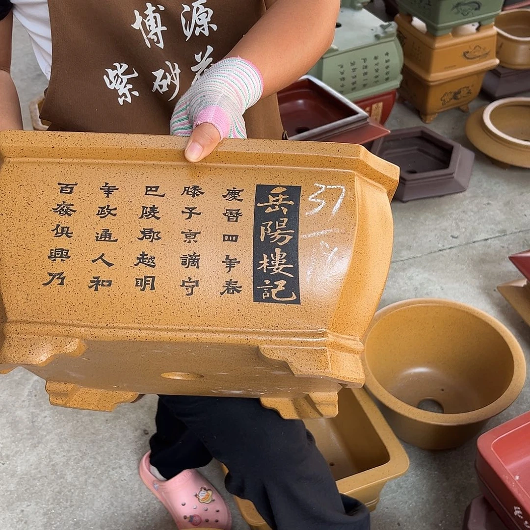 紫砂花盆盆景艺术
