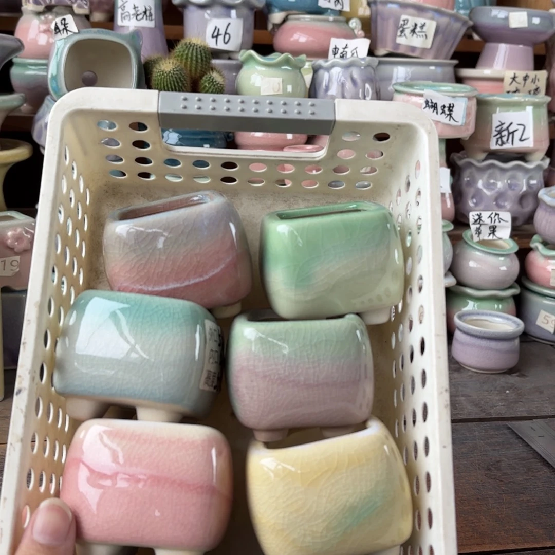 量货/4口高5.5深浅搭配发6