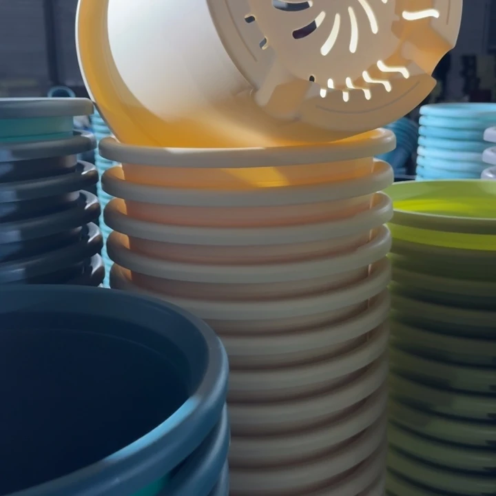 四季6号5个米黄色的