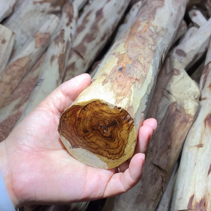 花梨木类海南黄花梨