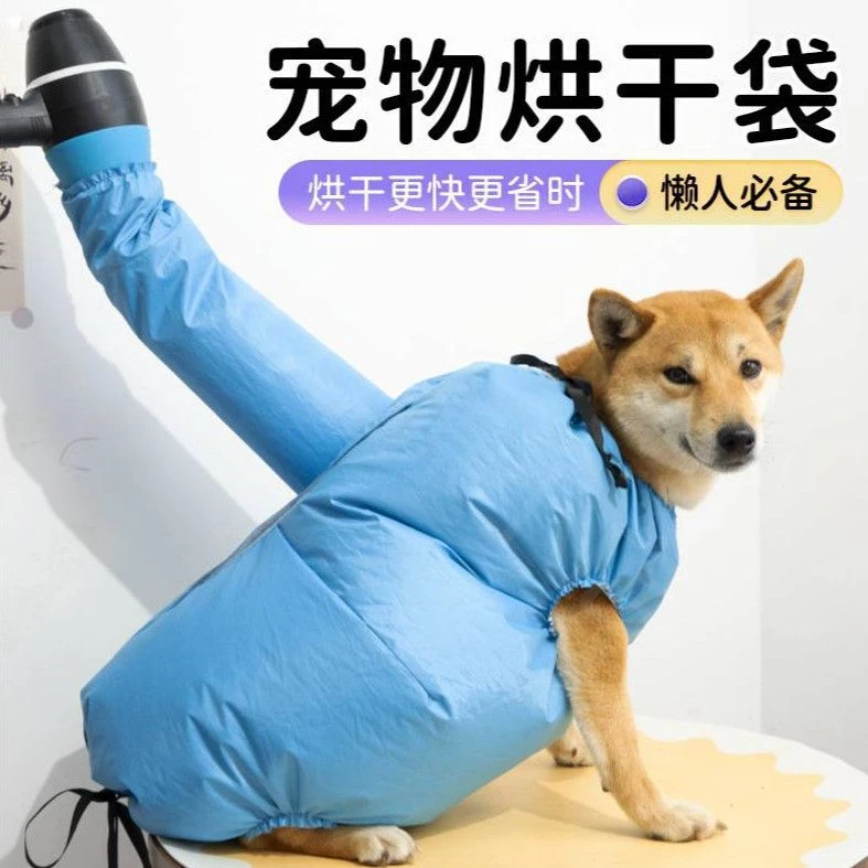 宠物烘干箱自动烘干袋吹毛泰迪柯基猫咪烘干箱吹水机狗狗洗澡吹风