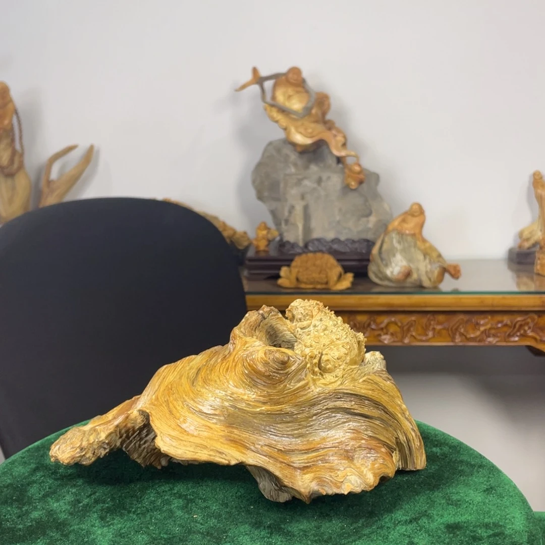神***店柏木（崖柏）崖松呱呱